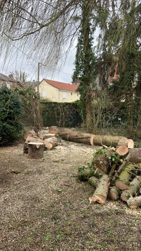 abattage arbres